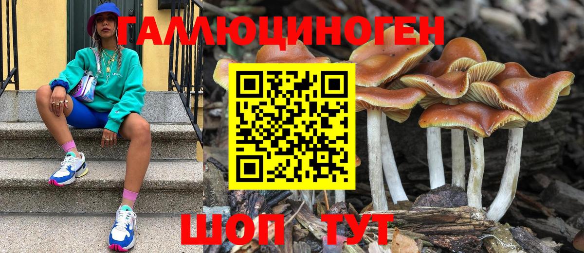 Псилоцибиновые грибы Magic Shrooms  Вход с VPN  Галлюциногенные грибы GOLDEN TEACHER  Нефтекамск 